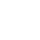 Vietnam Innovation Summit 2021 Logo