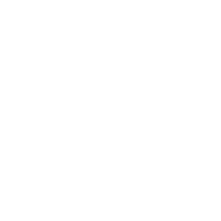 Brainsparks Logo