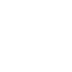 Digiteer Digital Logo