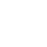 Nextpay Logo