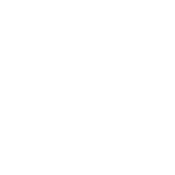 Pegasus Logo