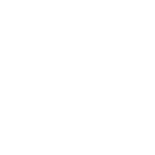 Platinum Logo