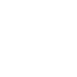 Y&Archer Logo